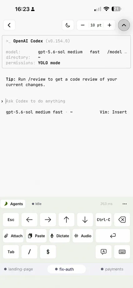 Herden live Codex terminal with generic landing-page, fix-auth and payments sessions
